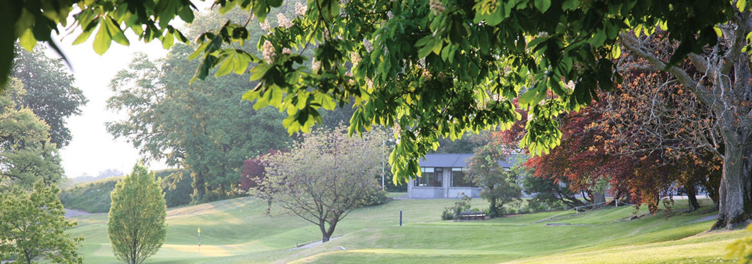 Co. Cavan Golf Club A Unique Golfing Experience in the Heart of the